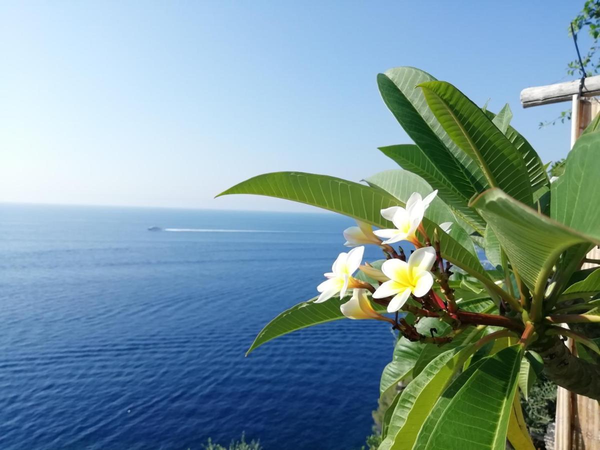 Sea Side Solandra Apartment ปรายาโน ภายนอก รูปภาพ